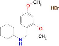 N-(2,4-dimethoxybenzyl)cyclohexanamine hydrobromide