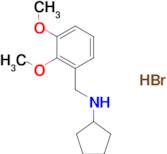 N-(2,3-dimethoxybenzyl)cyclopentanamine hydrobromide