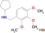 N-(2,3,4-trimethoxybenzyl)cyclopentanamine hydrobromide