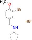 N-(3-bromo-4-methoxybenzyl)cyclopentanamine hydrobromide