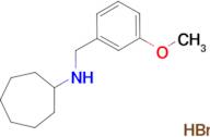 N-(3-methoxybenzyl)cycloheptanamine hydrobromide