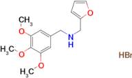 (2-furylmethyl)(3,4,5-trimethoxybenzyl)amine hydrobromide