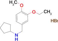 N-(3-ethoxy-4-methoxybenzyl)cyclopentanamine hydrobromide