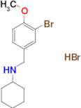 N-(3-bromo-4-methoxybenzyl)cyclohexanamine hydrobromide