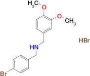 (4-bromobenzyl)(3,4-dimethoxybenzyl)amine hydrobromide