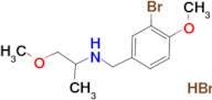 N-(3-bromo-4-methoxybenzyl)-1-methoxy-2-propanamine hydrobromide