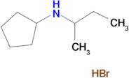 N-(sec-butyl)cyclopentanamine hydrobromide