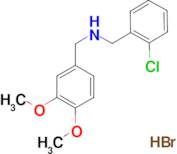 (2-chlorobenzyl)(3,4-dimethoxybenzyl)amine hydrobromide