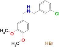 (3-chlorobenzyl)(3,4-dimethoxybenzyl)amine hydrobromide