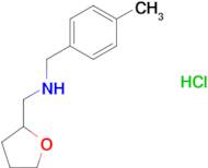 (4-methylbenzyl)(tetrahydro-2-furanylmethyl)amine hydrochloride