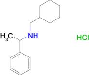 N-(cyclohexylmethyl)-1-phenylethanamine hydrochloride