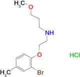 N-[2-(2-bromo-4-methylphenoxy)ethyl]-3-methoxy-1-propanamine hydrochloride