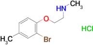 [2-(2-bromo-4-methylphenoxy)ethyl]methylamine hydrochloride