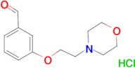 3-[2-(4-morpholinyl)ethoxy]benzaldehyde hydrochloride