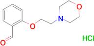 2-[2-(Morpholino)ethoxy]benzaldehyde hydrochloride