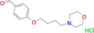 4-[4-(Morpholino)butoxy]benzaldehyde hydrochloride