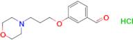 3-[3-(4-morpholinyl)propoxy]benzaldehyde hydrochloride