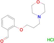 2-[3-(4-morpholinyl)propoxy]benzaldehyde hydrochloride