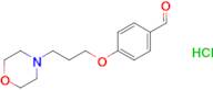 4-[3-(4-morpholinyl)propoxy]benzaldehyde hydrochloride