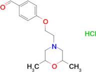 4-[2-(2,6-Dimethylmorpholin-4-yl)ethoxy]benzaldehyde hydrochloride