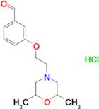 3-[2-(2,6-dimethyl-4-morpholinyl)ethoxy]benzaldehyde hydrochloride