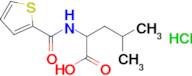 N-(2-thienylcarbonyl)leucine hydrochloride