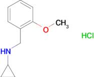 N-(2-methoxybenzyl)cyclopropanamine hydrochloride