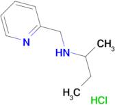 N-(2-pyridinylmethyl)-2-butanamine hydrochloride