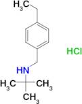 N-(4-ethylbenzyl)-2-methyl-2-propanamine hydrochloride