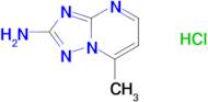 7-methyl[1,2,4]triazolo[1,5-a]pyrimidin-2-amine hydrochloride