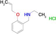 N-[2-(allyloxy)benzyl]ethanamine hydrochloride