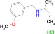 N-(3-methoxybenzyl)-2-butanamine hydrochloride