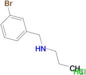 N-(3-bromobenzyl)-1-propanamine hydrochloride