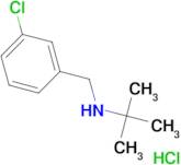 N-(3-chlorobenzyl)-2-methyl-2-propanamine hydrochloride