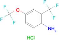 4-(Trifluoromethoxy)-2-(trifluoromethyl)aniline hydrochloride