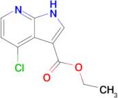 Ethyl 4-chloro-1H-pyrrolo[2,3-b]pyridine-3-carboxylate