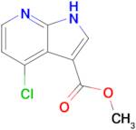 Methyl 4-chloro-1H-pyrrolo[2,3-b]pyridine-3-carboxylate
