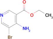 Ethyl 4-amino-5-bromonicotinate