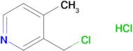 3-(Chloromethyl)-4-methylpyridine hydrochloride