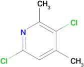 3,6-Dichloro-2,4-dimethylpyridine