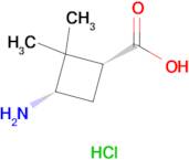 (1R,3S)-3-Amino-2,2-dimethylcyclobutanecarboxylic acid hydrochloride