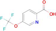 5-(Trifluoromethoxy)picolinic acid
