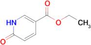 Ethyl 6-hydroxynicotinate