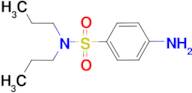 4-amino-N,N-dipropylbenzenesulfonamide