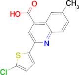 2-(5-chlorothien-2-yl)-6-methylquinoline-4-carboxylic acid