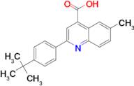 2-(4-tert-butylphenyl)-6-methylquinoline-4-carboxylic acid