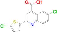 6-chloro-2-(5-chlorothien-2-yl)quinoline-4-carboxylic acid