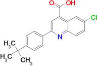 2-(4-tert-butylphenyl)-6-chloroquinoline-4-carboxylic acid