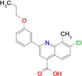 7-chloro-8-methyl-2-(3-propoxyphenyl)quinoline-4-carboxylic acid