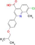 7-chloro-2-(4-isobutoxyphenyl)-8-methylquinoline-4-carboxylic acid